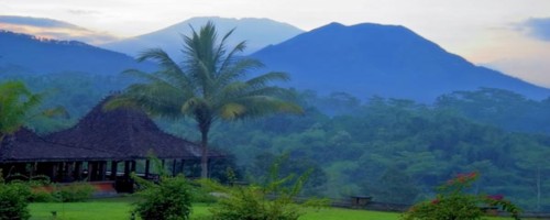 Losari Coffee Plantation, Magelang