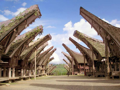 Tongkonan Tongkonan