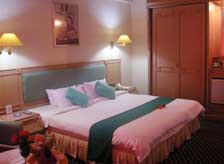 Ratu Mayang Garden Hotel - Pekanbaru, Deluxe Room