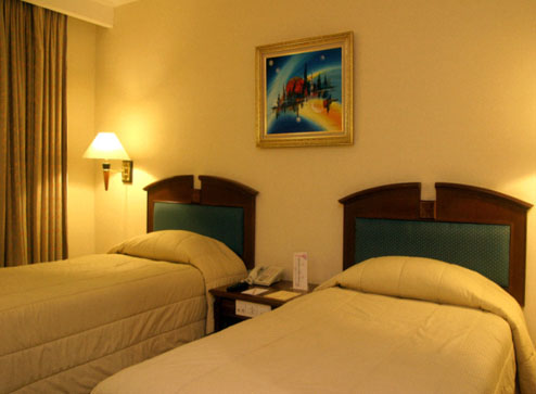 Horison Hotel - Semarang, Deluxe Twin Room