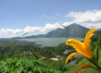 Kintamani Bali