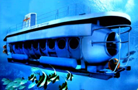 Odyssey Submarine 