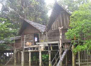 Indonesia Travel - Borneo Tour Package - Bakonsu Dayak