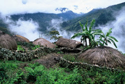 Indonesia Travel - PAPUA ADVENTURE see Baliem Valley trek 