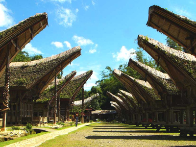 Toraja tour package