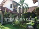 Yogyakarta Indonesia Hotels - Duta Guest House tropical garden